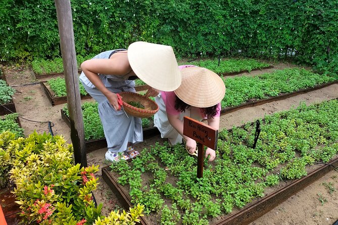 Cooking Class Hoi An - Organic Garden - Farming Tour-Handicrafts - Folk games add a welcome change of pace