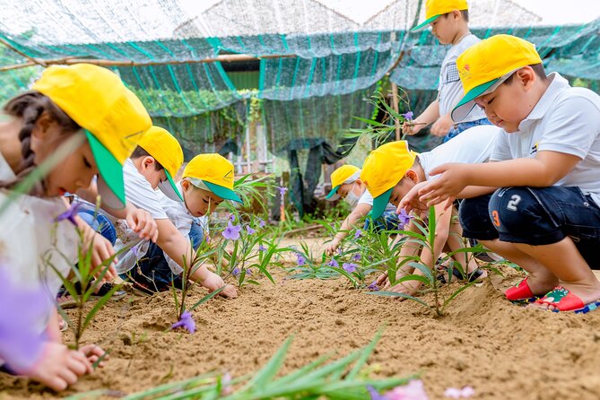 Cooking Class Hoi An - Organic Garden - Farming Tour-Handicrafts - Personal attention from a private group format