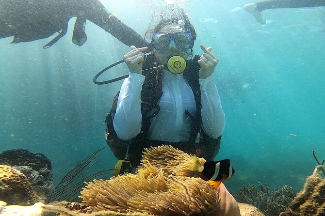 Coral Reef Snorkeling and Floating Bar Party from Nha Trang - The floating bar and giant water slide