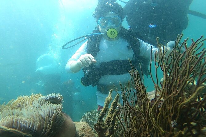 Coral Reef Snorkeling and Floating Bar Party from Nha Trang - Hòn Tằm and the first swim