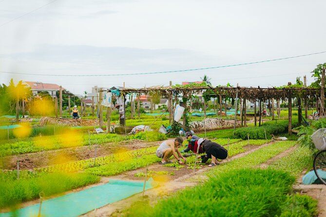Countryside Adventure Private Tour by Electric Car - A traditional market with local food