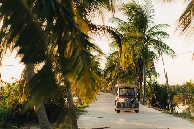 Countryside Adventure Private Tour by Electric Car - Rice fields, buffalo, and village roads
