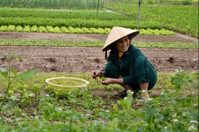 Countryside and Villages Tour By Motorbike - Lunch, coffee, and what the $51 price covers