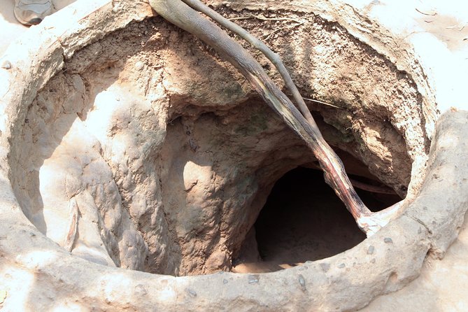 Cu Chi Tunnels and Mekong Delta Full Day Tour - Max 12 - The guides can shape the entire day