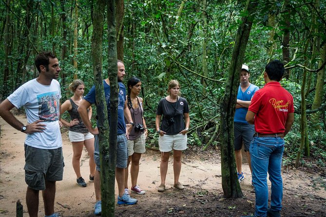 Cu Chi Tunnels Half-Day Tour: Vietnam War Underground Network - Entering the underground sections