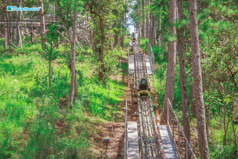 Da Lat: Datanla New Alpine Coaster Experience Entry Ticket - Why Datanla’s coaster is worth your time
