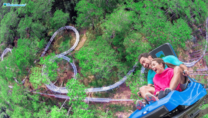 Da Lat: Datanla New Alpine Coaster Experience Entry Ticket - Who will enjoy Datanla most