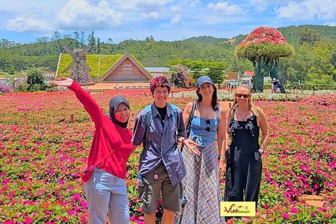 Da Lat: Half-Day Morning - Clay Tunnel, Crazy House, Datanla Fall - Crazy House: Da Lat’s most unusual first stop