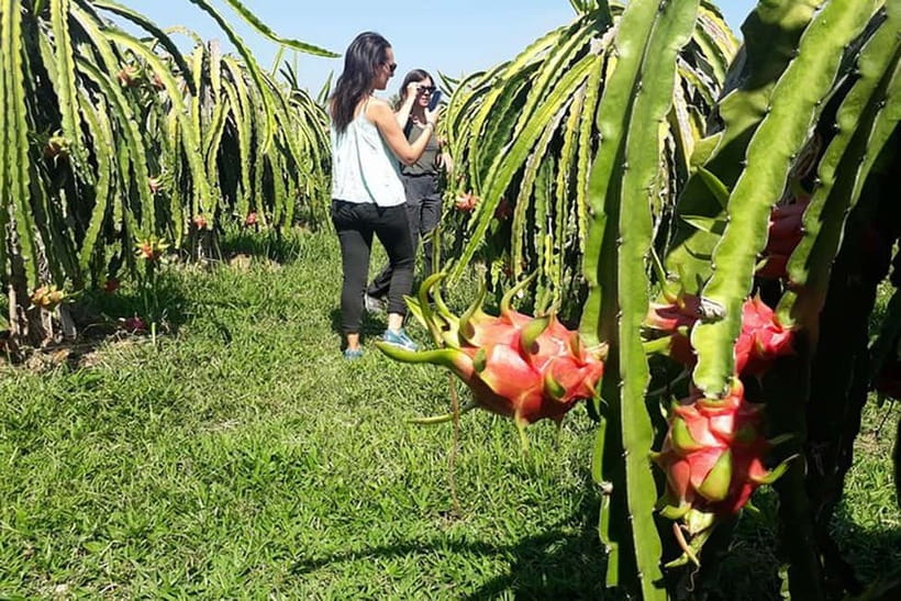 Da Lat Loop Tour On Private Car - Nam Ban silk and the cricket farm