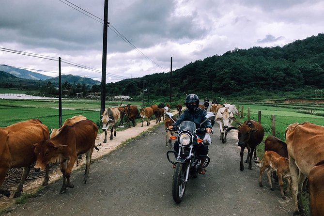 Da Lat's Countryside & Waterfalls Day Tour by Motorbike - Key points to know before you book