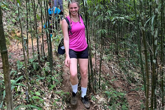 Daily Tour: Sapa Trekking in Muong Hoa valley, Bamboo forest - Bamboo forest and the final walk to Giang Ta Chai