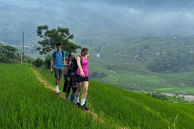 Daily Tour: Sapa Trekking in Muong Hoa valley, Bamboo forest - What the guide adds to the walk