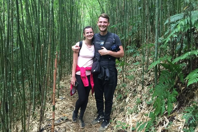 Daily Tour: Sapa Trekking in Muong Hoa valley, Bamboo forest - Is $29.90 good value?