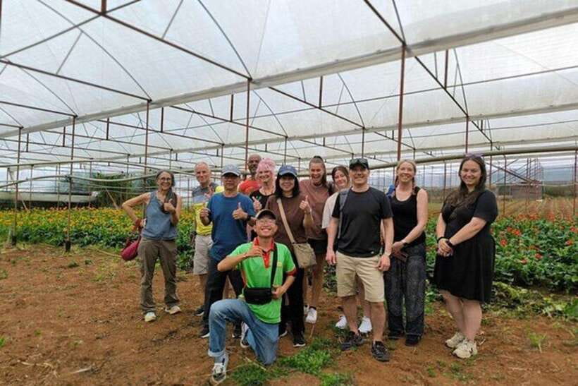 Dalat Countryside & Pongour Waterfall Tours (Small Group) - Van Thanh Flower Village in a short visit