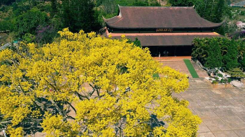 Dalat Countryside & Pongour Waterfall Tours (Small Group) - Me Linh Coffee Garden and the Ta Nung Pass