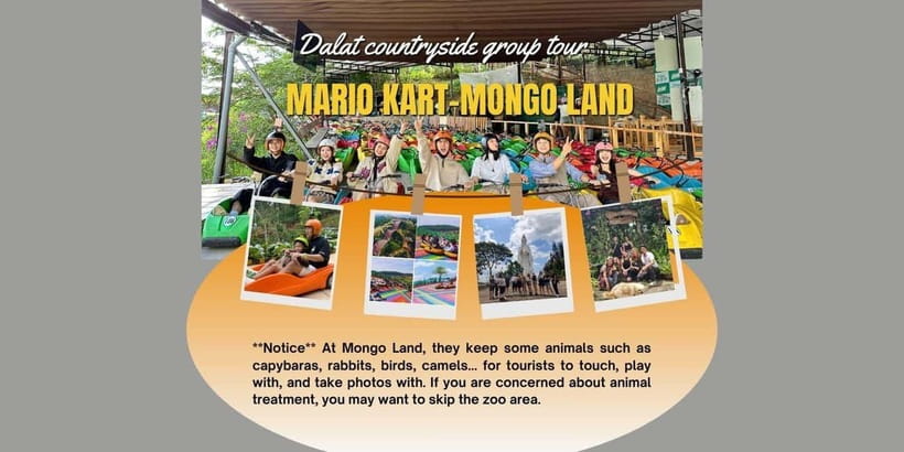 Dalat: Go Kart - Mongo Land - Countryside Small Group - Racing mini cars through pine country