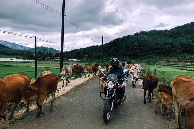 Dalat Go Kart - Mongoland & Dalat Countryside Group Tour - Coffee and highland views at Mê Linh