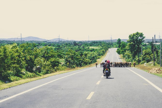 Dalat Go Kart - Mongoland & Dalat Countryside Group Tour - Linh An Pagoda and the closed waterfall stop