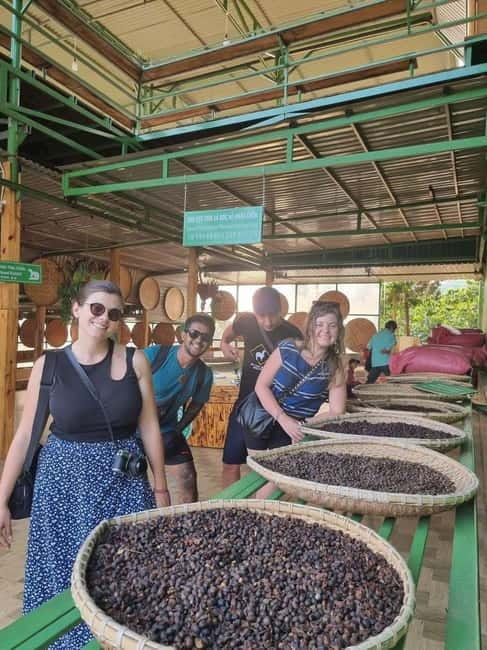 Dalat: Mario kart - Mongo Land - Countryside Tour - Coffee plantations and the weasel coffee question