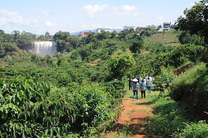 Dalat's countryside|Coffee Plantations Tour beyond Elephant falls - Picking cherries instead of just photographing them