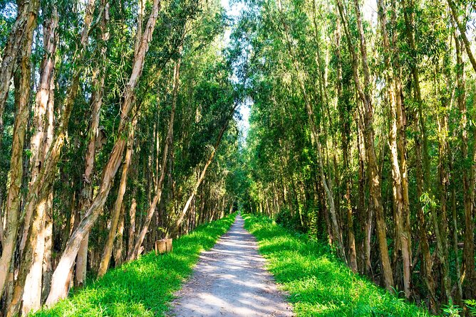 Discover Mua Xuan Nature Reserve - Bamboo basket making in a local village