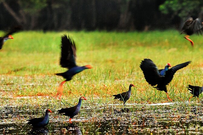Discover Mua Xuan Nature Reserve - Is $58 a fair price?