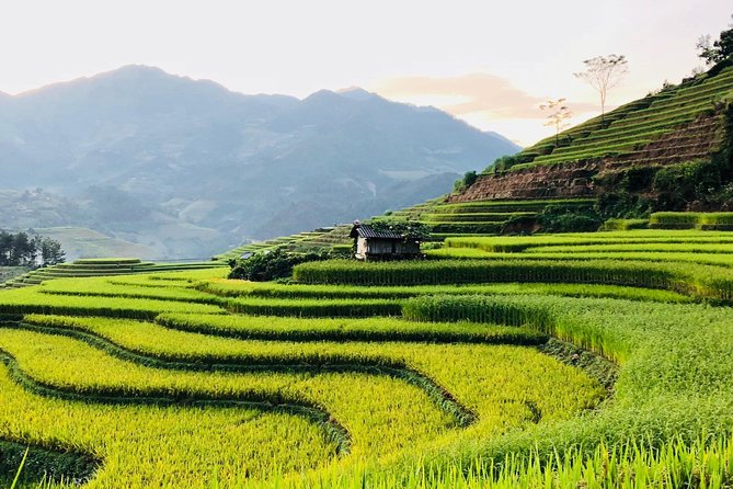 Discover the Beauty of Sa Pa: A One-Day Trek - Why this Sa Pa walk is worth your time