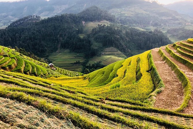 Discover the Beauty of Sa Pa: A One-Day Trek - Lunch, water, and what the $19 covers