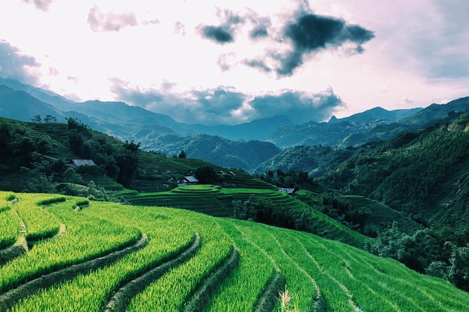 Discover the Beauty of Sa Pa: A One-Day Trek - Rain, fog, and the real condition of the path