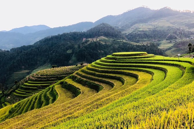 Discover the Beauty of Sa Pa: A One-Day Trek - Who should book this trek?