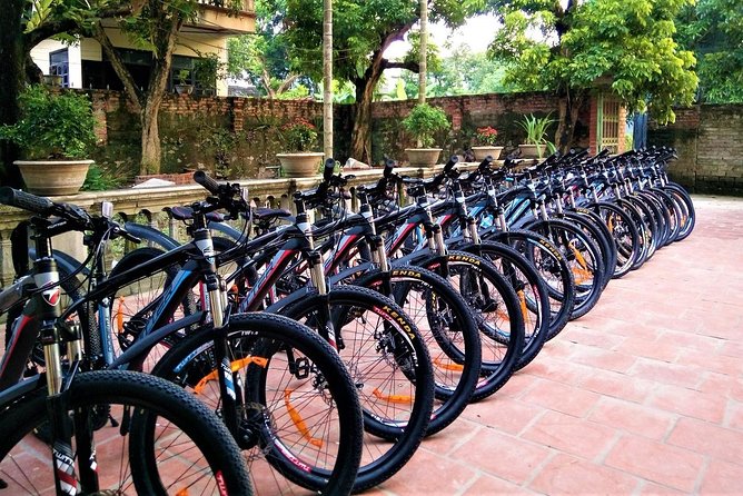Discover Trang An Natural World Heritage, Bich Dong Pagoda, Cycling Day Tour - Bich Dong Pagoda and Its Three-Level Setting