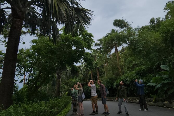 Endangered Monkeys Watching - Red Shanked Douc Langurs - Why Son Tra is the right place for this outing