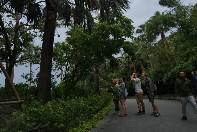 Endangered Monkeys Watching - Red Shanked Douc Langurs - What the guide teaches along the way