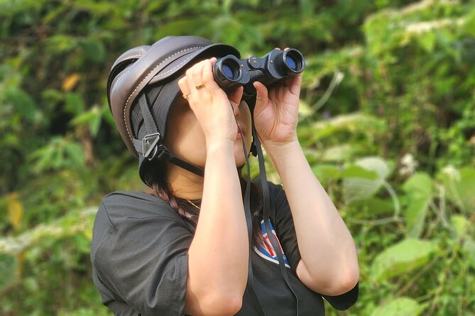 Endangered Monkeys Watching - Red Shanked Douc Langurs - The motorbike ride from Da Nang