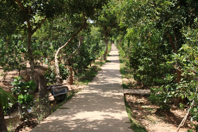 Essential Mekong Delta: Highlights Tour from Ho Chi Minh City - My Tho and the Tien River cruise