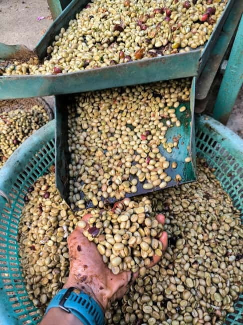 Experience specialty coffee with sustainable coffee farmers - Is 14 dollars good value?