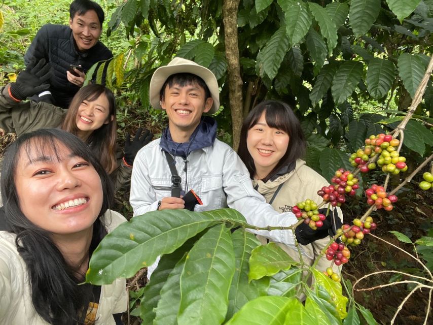 Experience specialty coffee with sustainable coffee farmers - Brewing coffee three ways