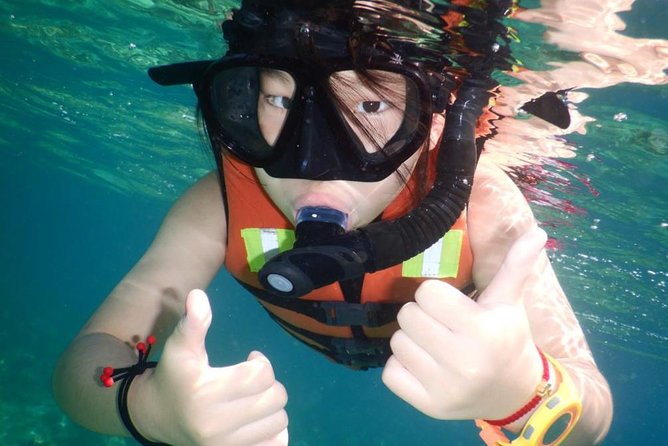 Explore Nha Trang Bay: Half-Day Snorkeling Adventure Tour - Equipment and guidance for beginners