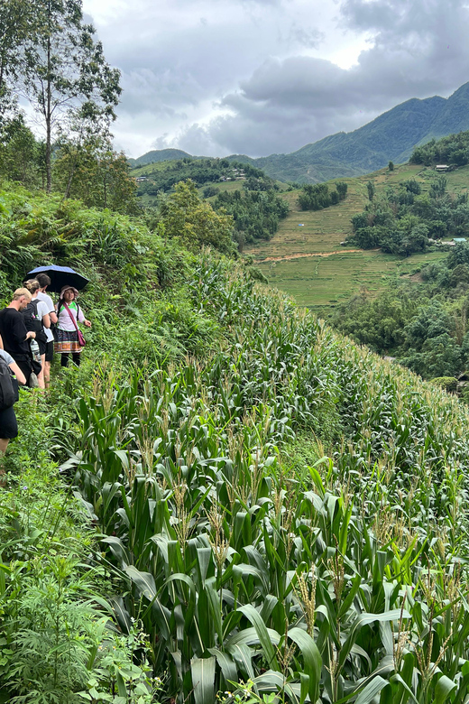 Explore Sapa by TrekkingAdventures, Mountain,Rice fields - Is $23 good value?
