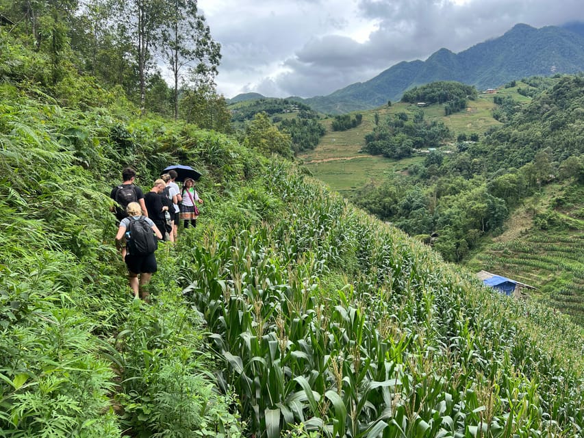 Explore Sapa by TrekkingAdventures, Mountain,Rice fields - Why this trek gets you beyond Sapa town