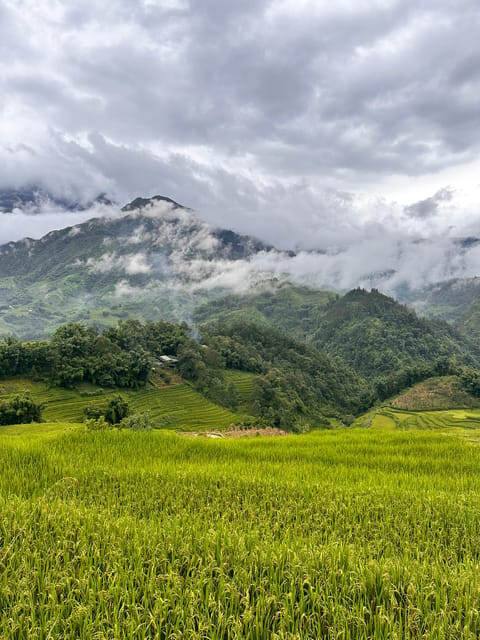 Explore Sapa by TrekkingAdventures, Mountain,Rice fields - Starting at Sapa church and heading down to Y Linh Ho