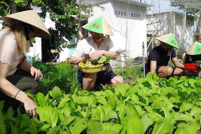 Explore Vietnamese Cuisine: Cooking Class from Ho Chi Minh City - Four dishes, then lunch