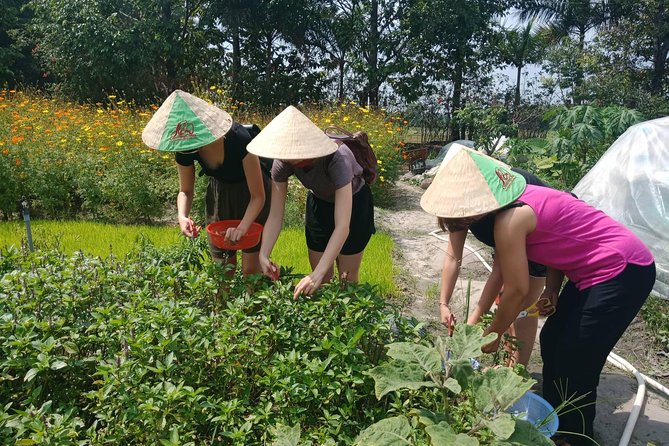 Farm-To-Table Healthy Cooking Class in Ho Chi Minh City - From city traffic to a working organic farm