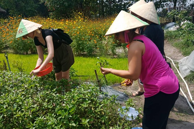 Farm-To-Table Healthy Cooking Class in Ho Chi Minh City - Tasting as you go, not only at the end