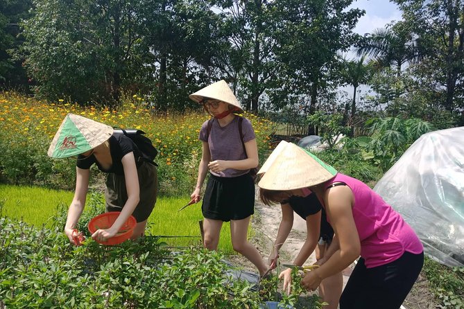 Farm-To-Table Healthy Cooking Class in Ho Chi Minh City - What the guides add to the day