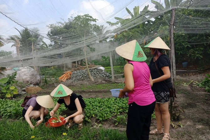 Farm-To-Table Healthy Cooking Class in Ho Chi Minh City - The value of $67 per person