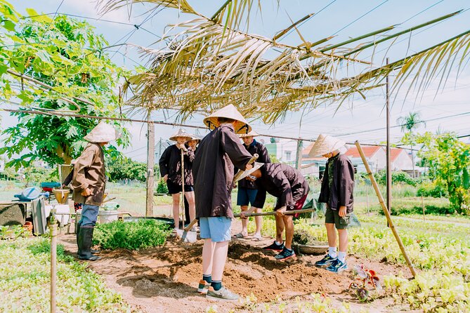 Farming & Cooking Class in Hoi An - Small Group Tour - A Two-Hour Cooking Class With Useful Recipes
