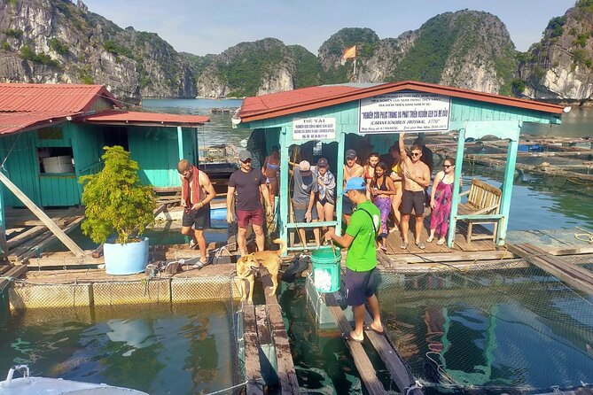 From Ha Noi/Cat Ba: Full-Day Cruise to Lan Ha bay - Ha Long Bay - Cai Beo fishing village and southern Lan Ha Bay