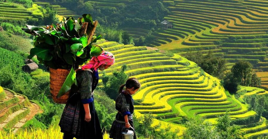 From Hanoi: 2-Day 2-Night Sapa Tour by Overnight Train - Why the Hanoi to Sapa train route works