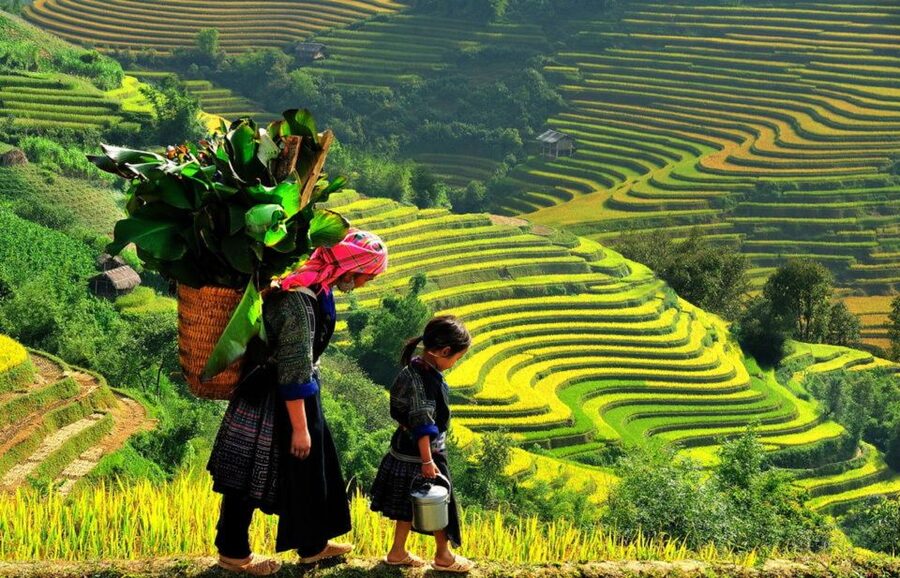 From Hanoi: 2-Day 2-Night Sapa Tour by Overnight Train - Who should book this Sapa experience?